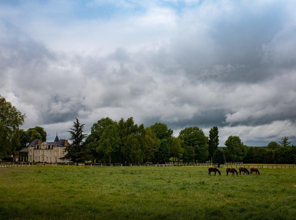 Hotel Haras De La Potardiere Crosmieres Екстер'єр фото