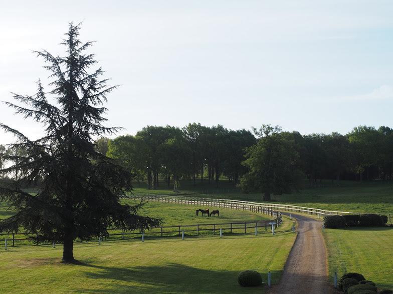 Hotel Haras De La Potardiere Crosmieres Екстер'єр фото